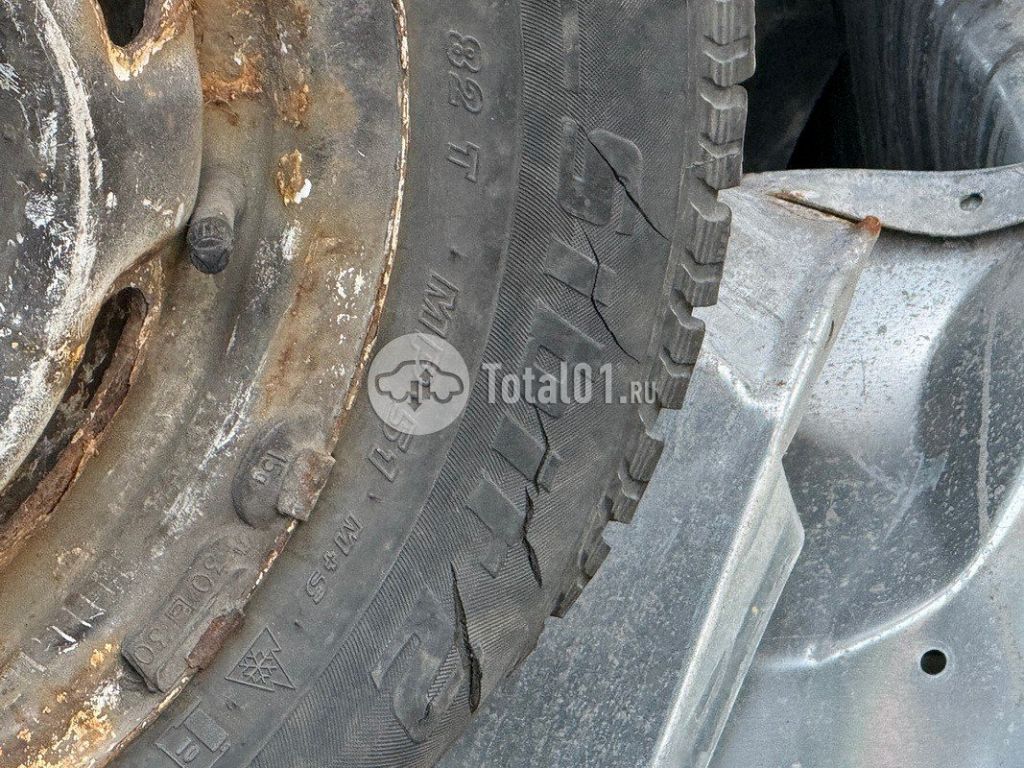 Фото TMDUP другая 28