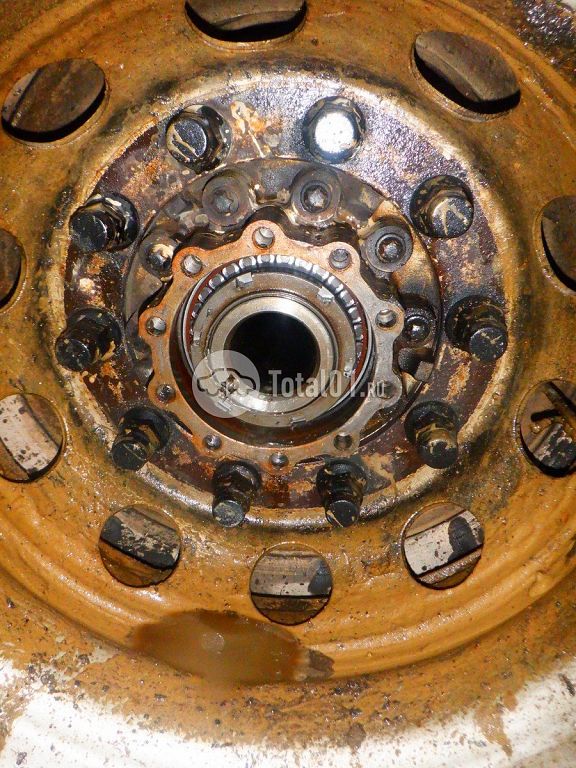 Фото MAN TGX 118