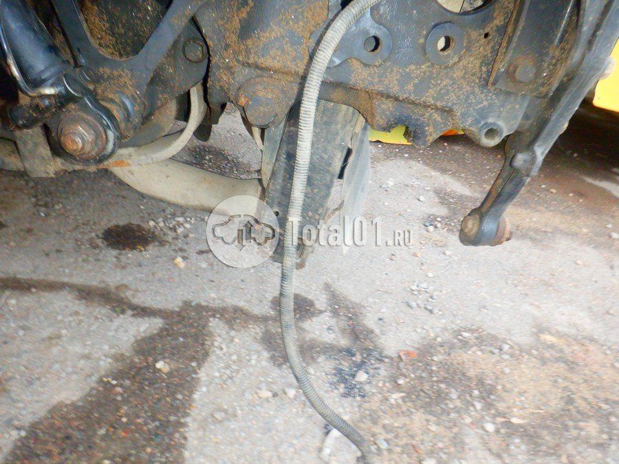 Фото MAN TGX 220