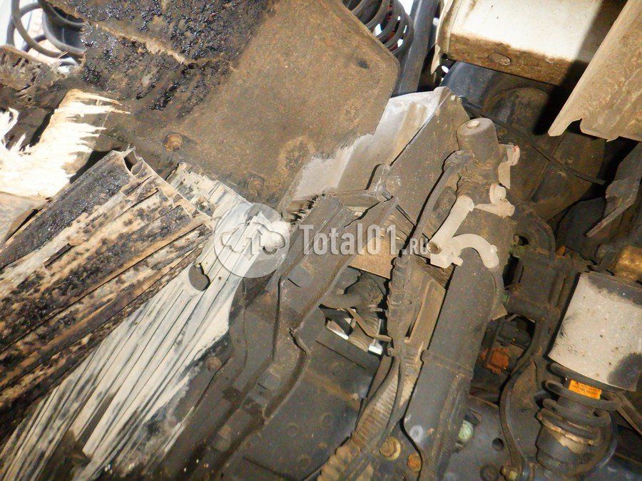 Фото MAN TGX 226