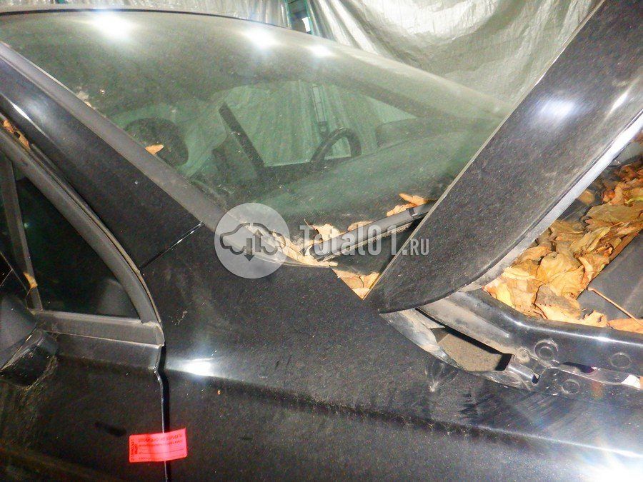 Фото Volkswagen Tiguan 114