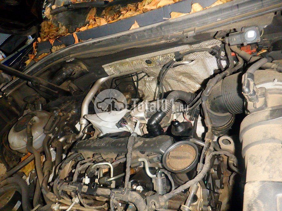 Фото Volkswagen Tiguan 206