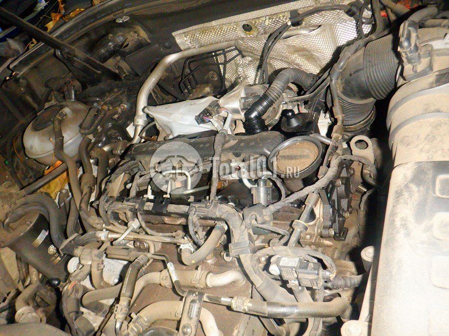 Фото Volkswagen Tiguan 208