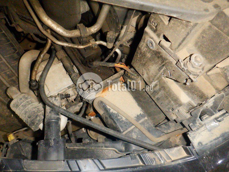 Фото Volkswagen Tiguan 216