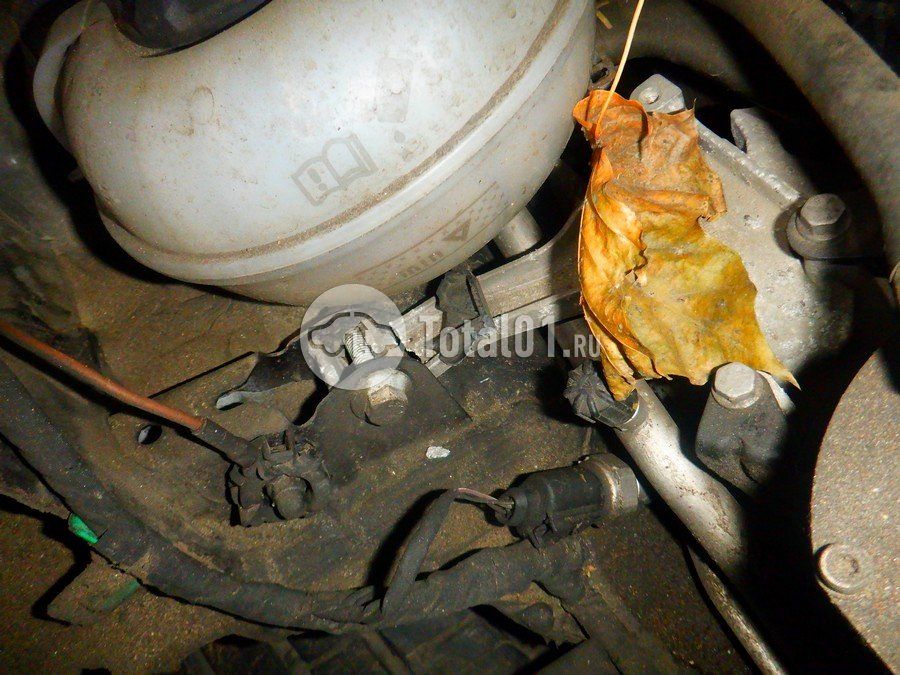 Фото Volkswagen Tiguan 218