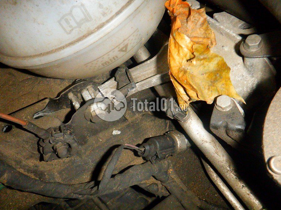 Фото Volkswagen Tiguan 236