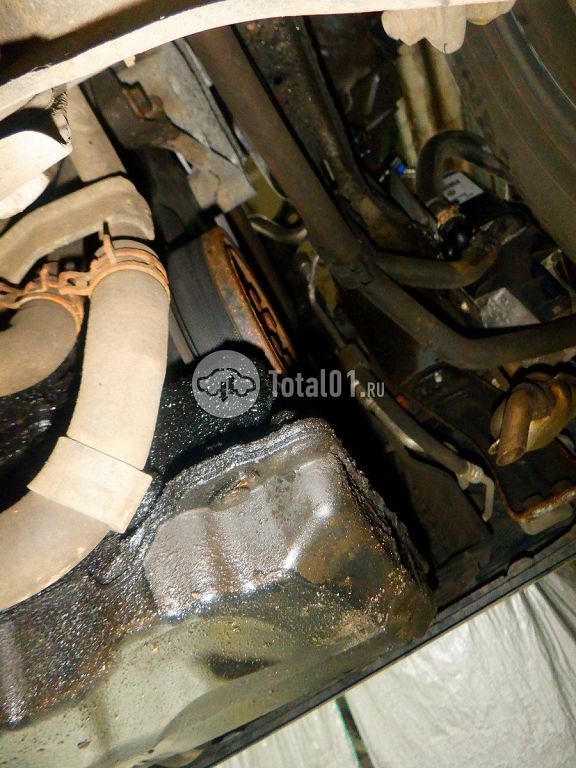 Фото Volkswagen Tiguan 284