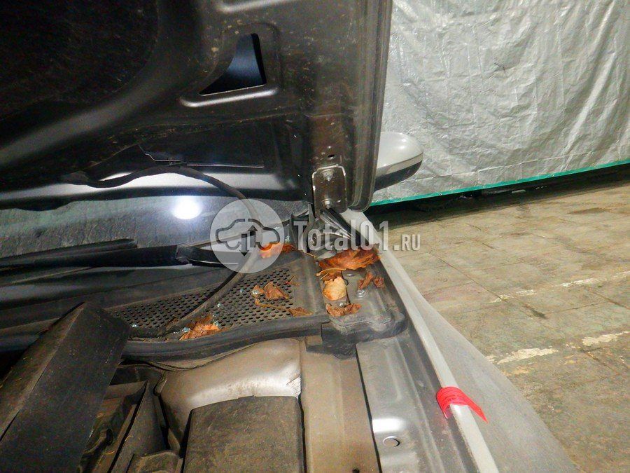 Фото Volkswagen Passat 162