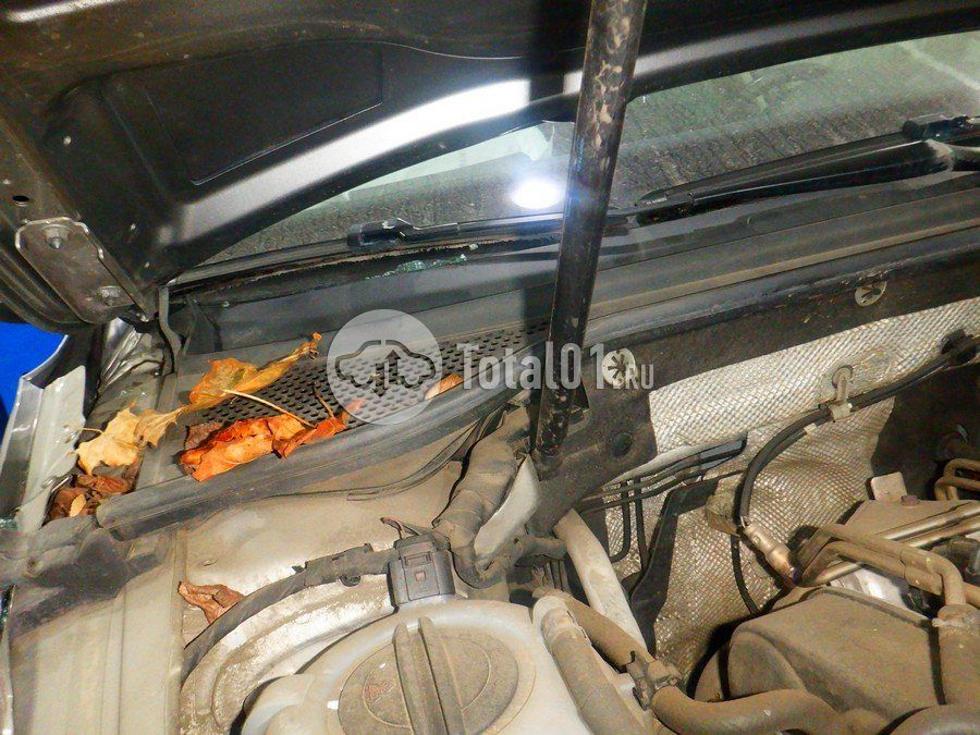 Фото Volkswagen Passat 186