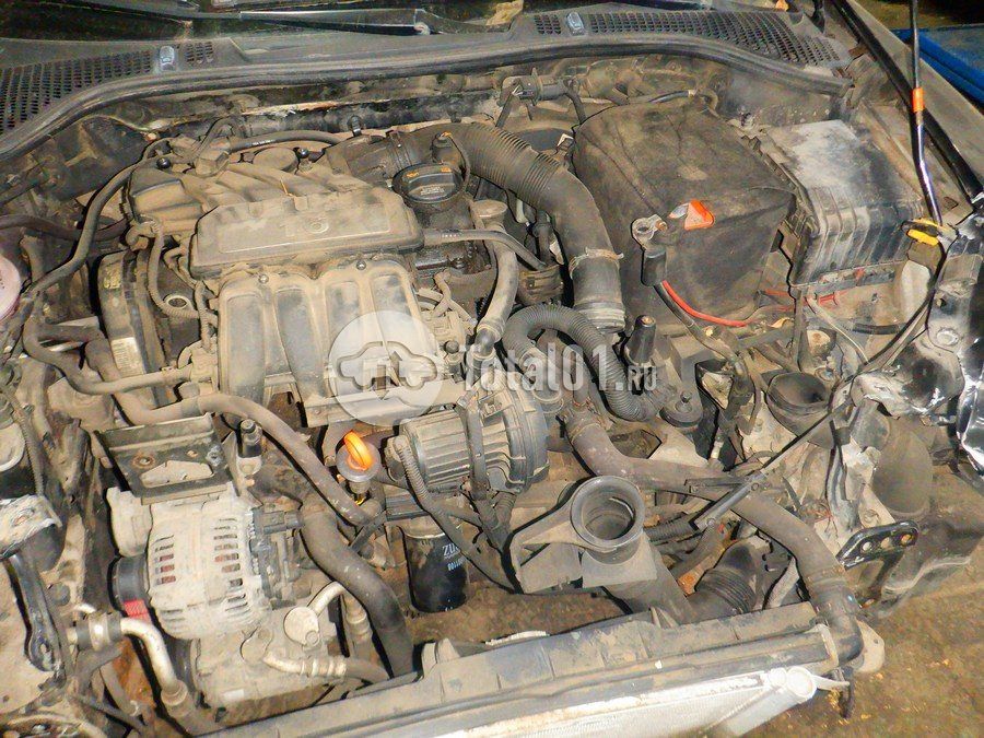 Фото Skoda Octavia 234