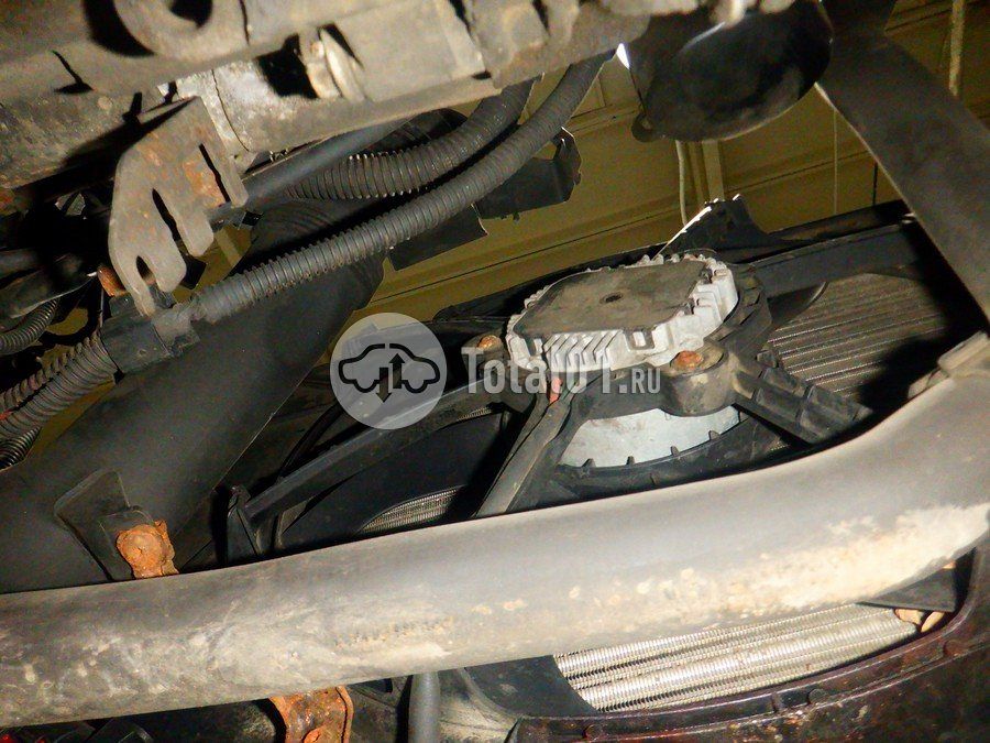 Фото Skoda Octavia 314