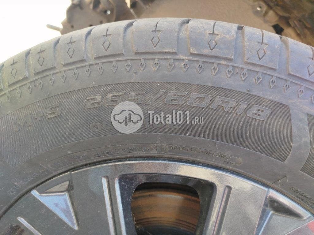 Фото Great Wall Poer 58