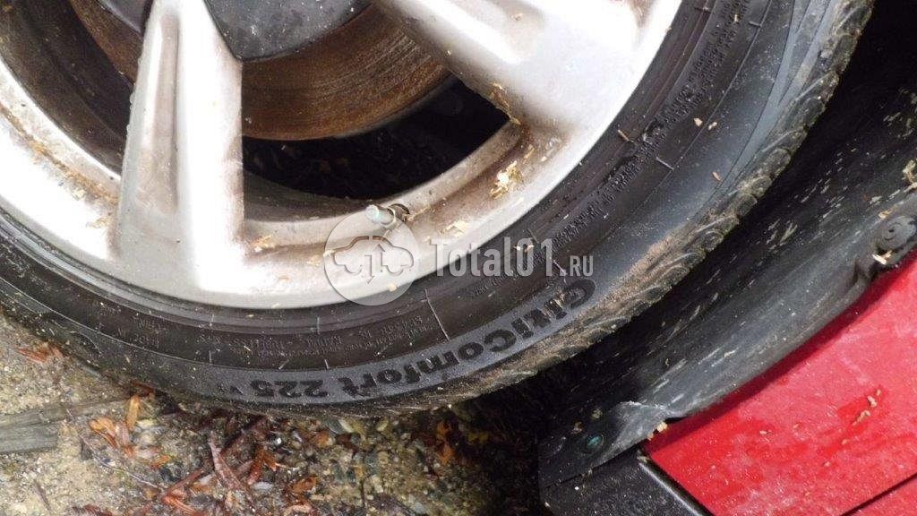 Фото GWM ORA 03 60