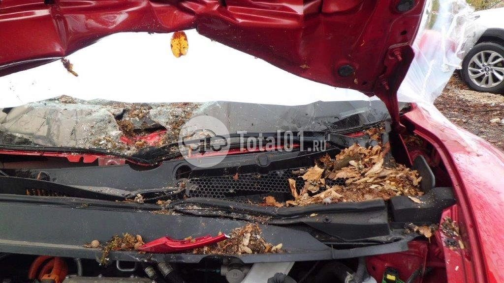 Фото GWM ORA 03 68