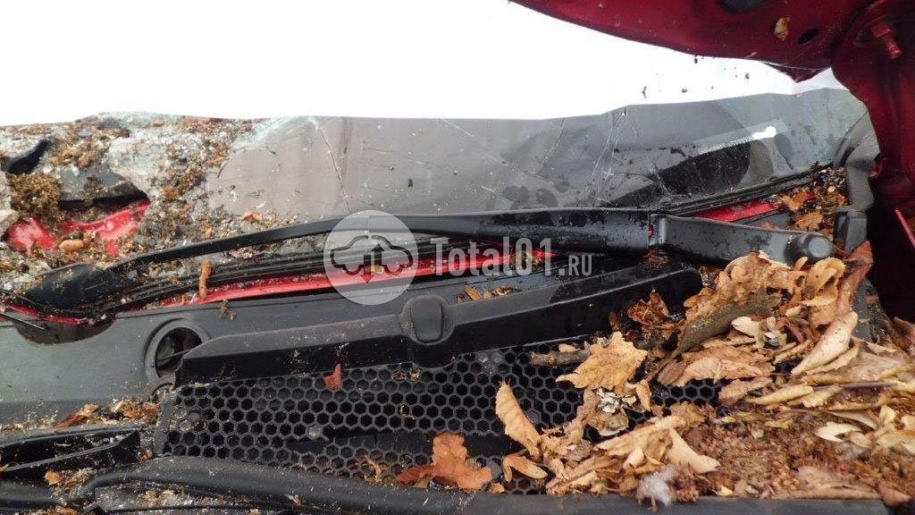 Фото GWM ORA 03 78