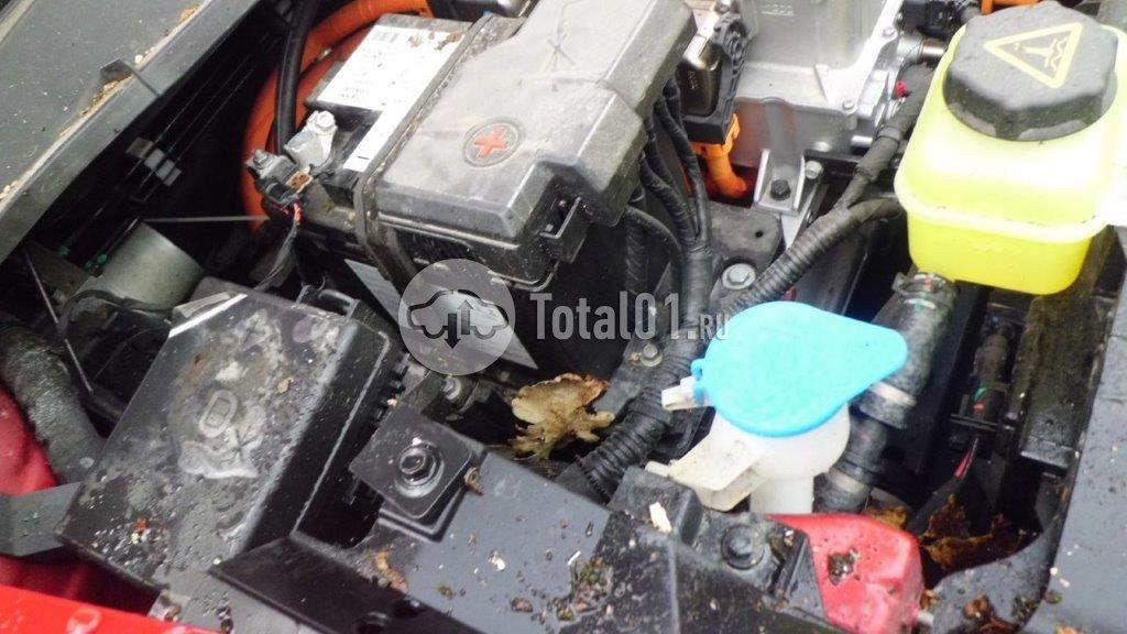 Фото GWM ORA 03 86