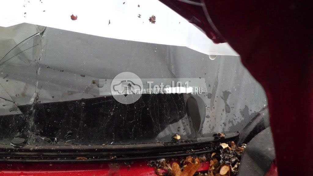 Фото GWM ORA 03 88