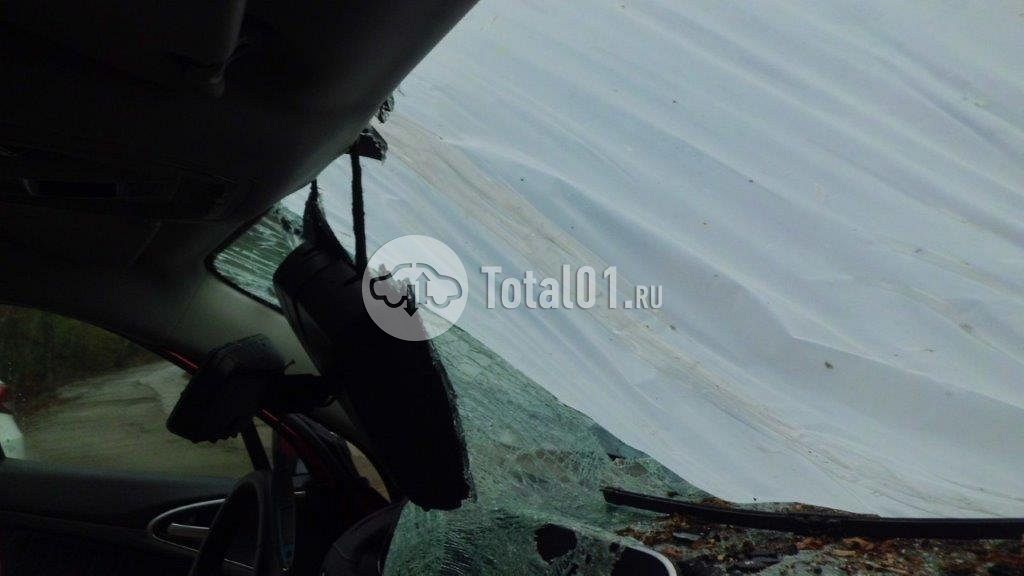 Фото GWM ORA 03 112