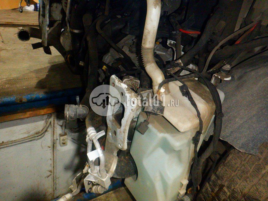 Фото Volkswagen Teramont 174