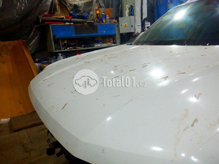 Фото Volkswagen Teramont 176