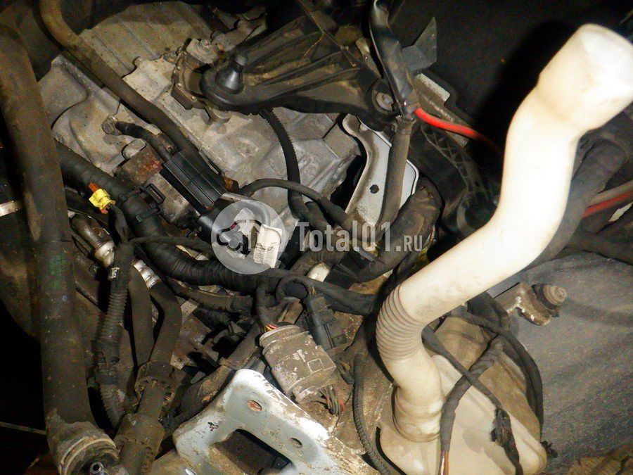 Фото Volkswagen Teramont 190