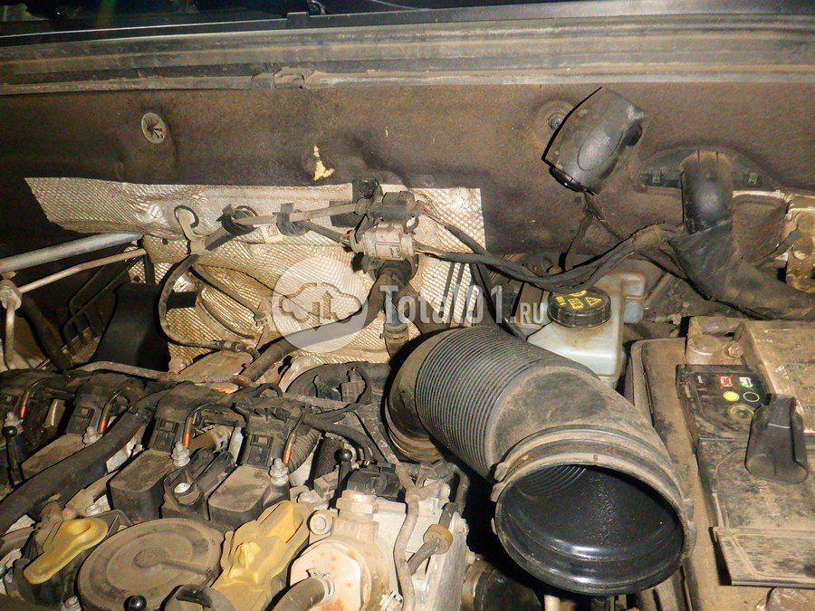 Фото Volkswagen Teramont 198