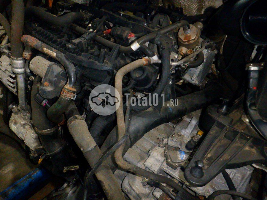 Фото Volkswagen Teramont 202