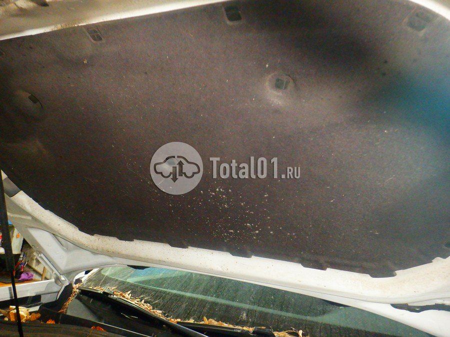 Фото Volkswagen Teramont 204