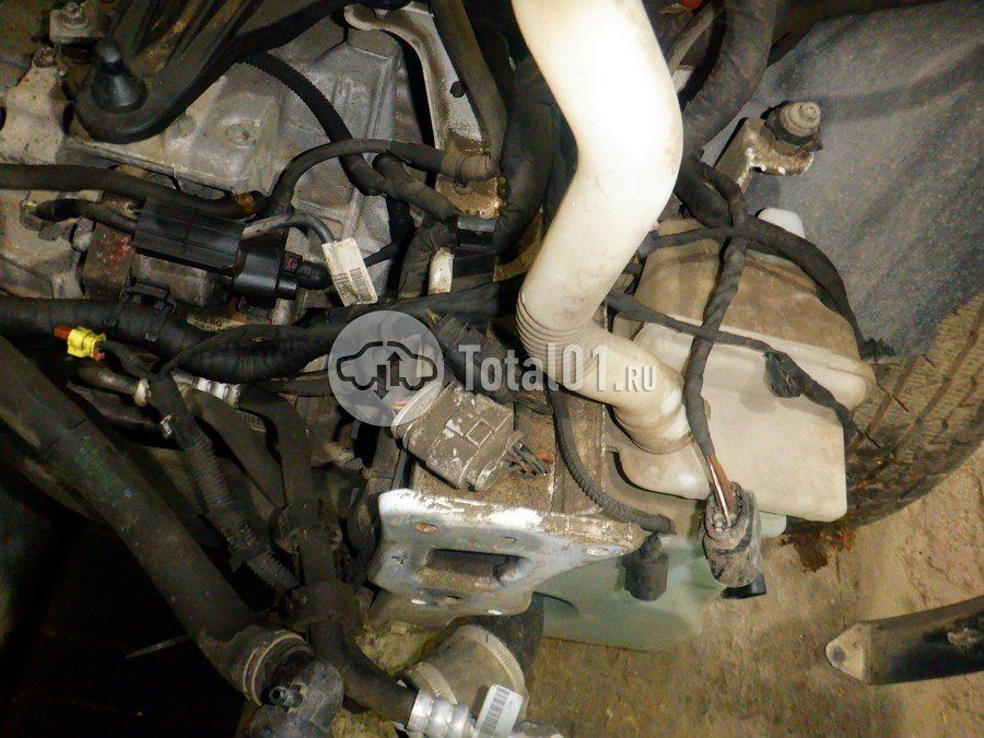 Фото Volkswagen Teramont 230