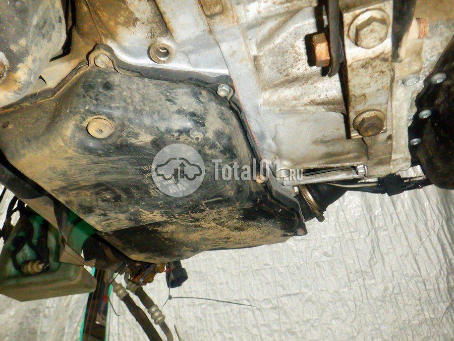 Фото Volkswagen Teramont 304