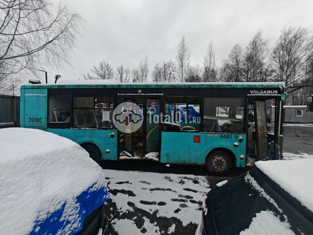 Фото Volgabus 4298G4 58