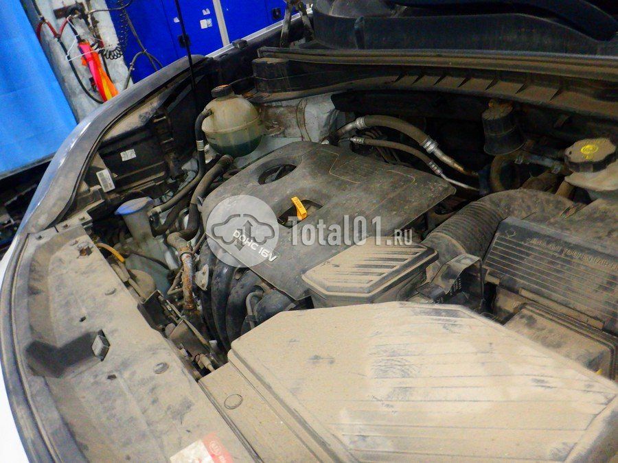 Фото KIA Sportage 208