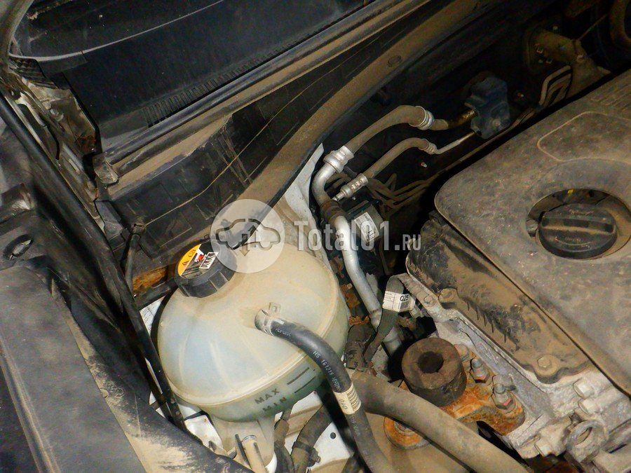 Фото KIA Sportage 212