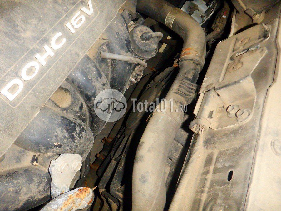 Фото KIA Sportage 224