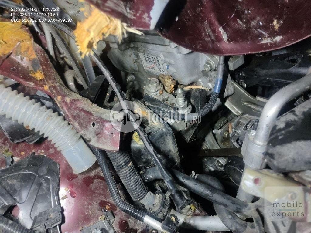 Фото Toyota RAV4 82