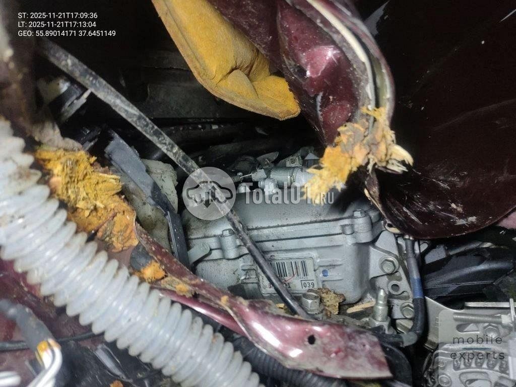 Фото Toyota RAV4 164