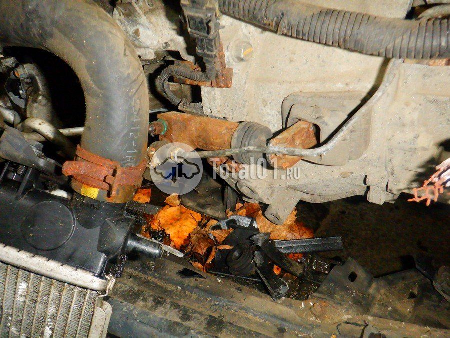 Фото Hyundai Solaris 198