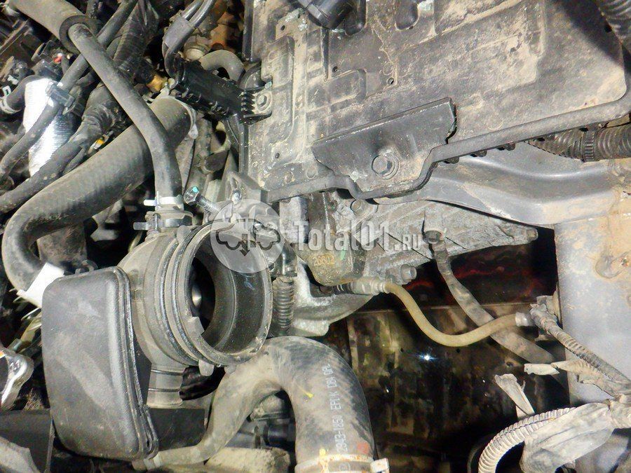 Фото Hyundai Creta 186