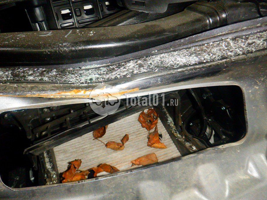 Фото Hyundai Creta 246