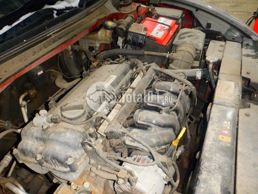 Фото KIA Rio 230