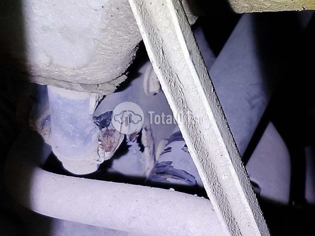 Фото Skoda Rapid 98