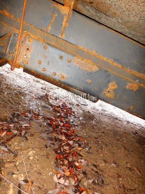 Фото ГАЗ ГАЗель Next 30