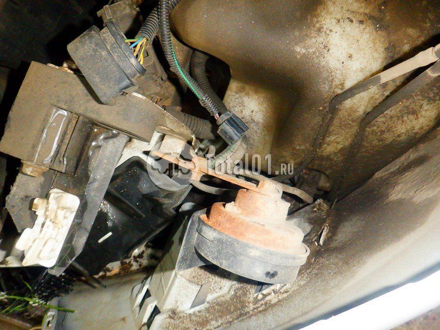 Фото Ford EcoSport 216