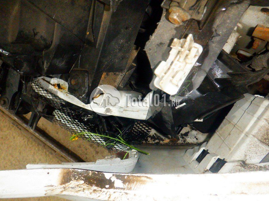 Фото Ford EcoSport 218