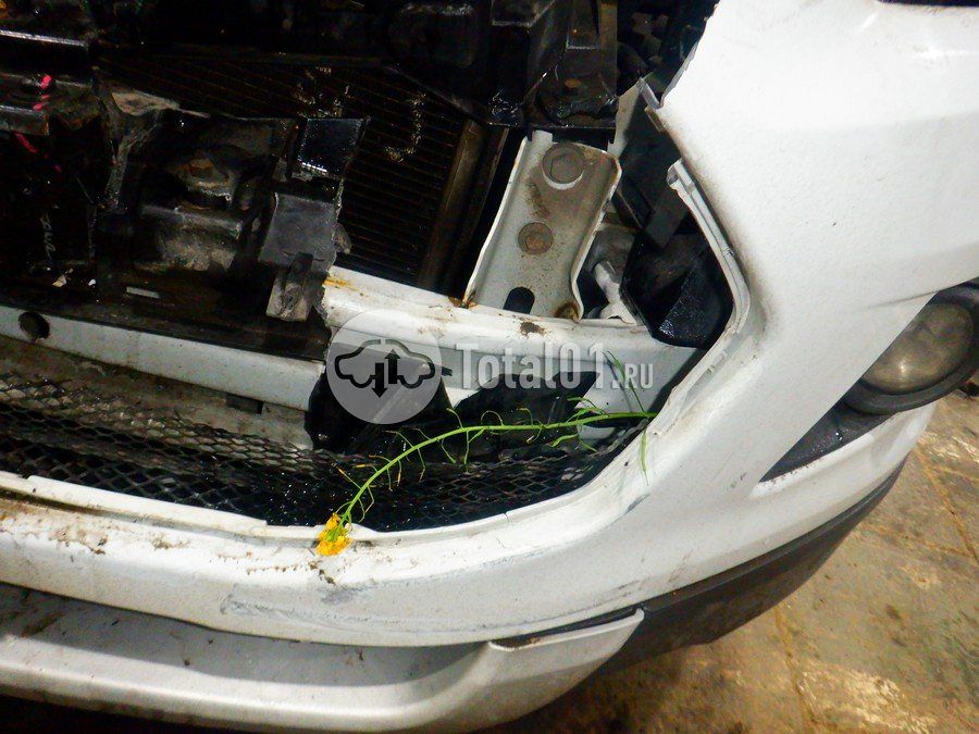 Фото Ford EcoSport 228