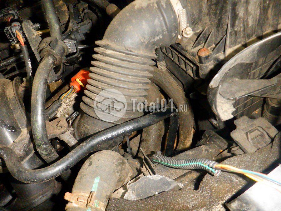 Фото Ford EcoSport 232