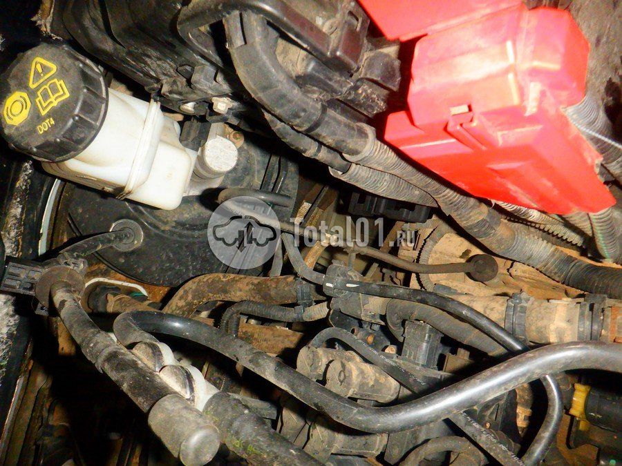 Фото Ford EcoSport 234