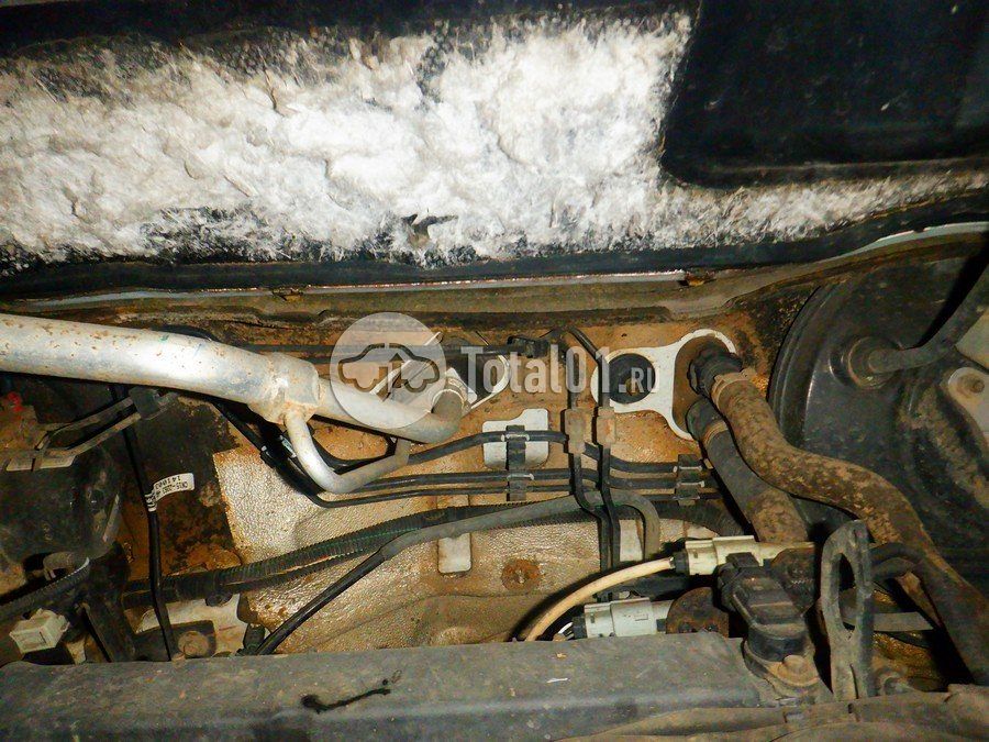 Фото Ford EcoSport 236