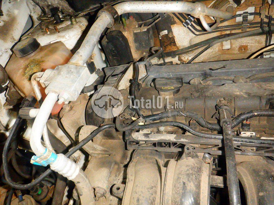 Фото Ford EcoSport 238