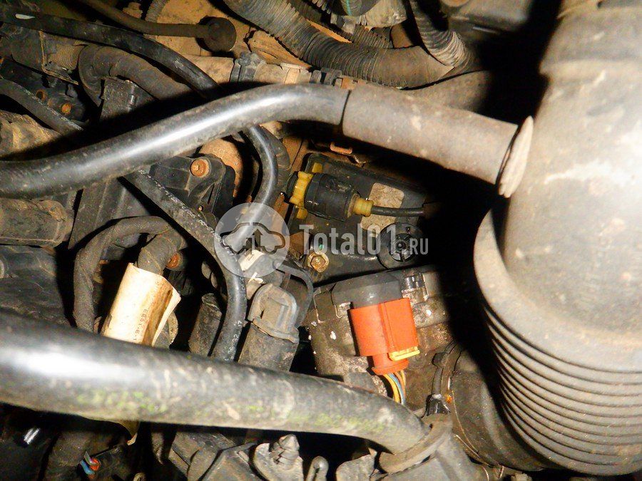 Фото Ford EcoSport 242